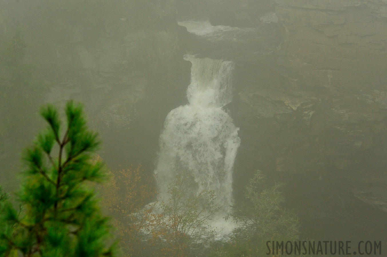 North Carolina [122 mm, 1/125 sec at f / 7.1, ISO 800]